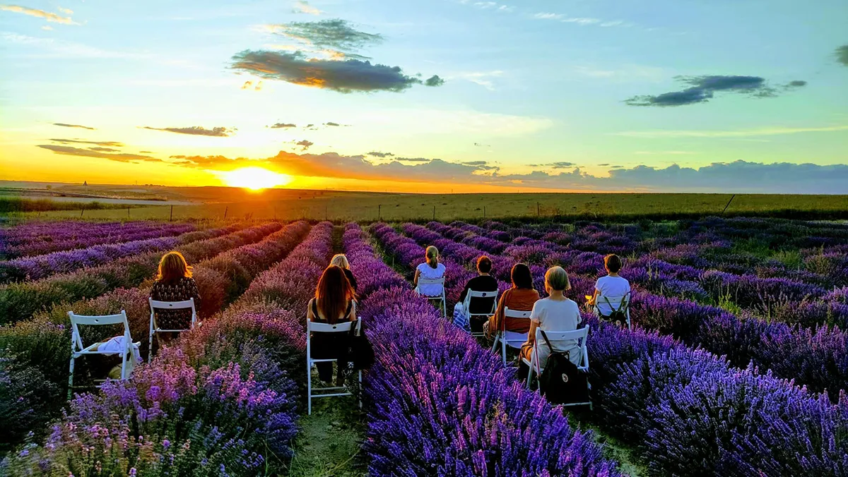 Mindfulness y Lavanda